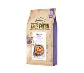 Carnilove True Fresh Cat Fish беззерновой сухой корм для кошек, 340 г цена и информация | Сухой корм для кошек | 220.lv