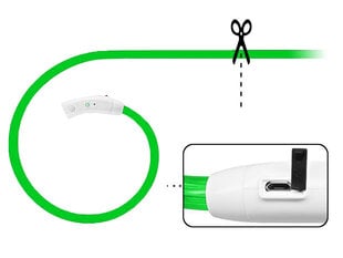 LED kaklasiksniņa suņiem, 50 cm cena un informācija | Apkakles, siksnas suņiem | 220.lv