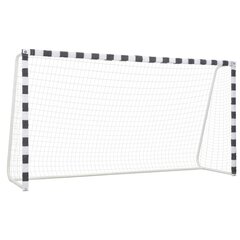 vidaXL futbola vārti, 300x160x90 cm цена и информация | Футбольные ворота и сетки | 220.lv