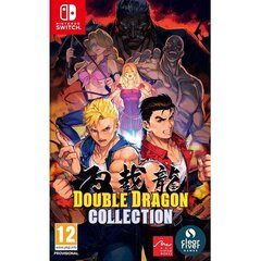 Double Dragon Collection Switch cena un informācija | Datorspēles | 220.lv