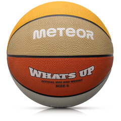 Basketbola bumba Meteor What's up cena un informācija | Basketbola bumbas | 220.lv