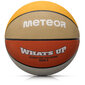 Basketbola bumba Meteor What's up цена и информация | Basketbola bumbas | 220.lv