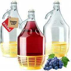 3x Wine Carboy 5L Balloon Lady In Basket Vīna pudele + aizvēršana cena un informācija | Trauki un piederumi konservēšanai | 220.lv