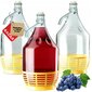 3x Wine Carboy 5L Balloon Lady In Basket Vīna pudele + aizvēršana цена и информация | Trauki un piederumi konservēšanai | 220.lv