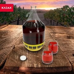 2x Wine Carboy 5L Balloon Lady In Basket Vīna pudele + aizvēršana cena un informācija | Trauki un piederumi konservēšanai | 220.lv