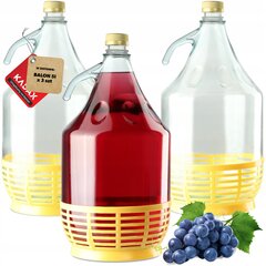 3x Kadax Carboy Wine 5L Balloon Lady In Basket Vīna pudele + aizvēršana cena un informācija | Trauki un piederumi konservēšanai | 220.lv