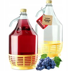 2x Wine Carboy 5L Balloon Lady In Basket Vīna pudele + aizvēršana cena un informācija | Trauki un piederumi konservēšanai | 220.lv