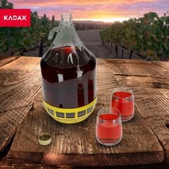 2x Wine Carboy 5L Balloon Lady In Basket Vīna pudele + aizvēršana cena un informācija | Trauki un piederumi konservēšanai | 220.lv