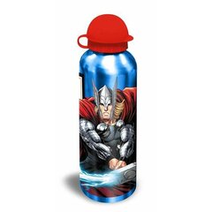 Ūdens pudele Avengers Alumīnijs (500 ml) cena un informācija | Ūdens pudeles | 220.lv