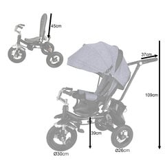 TRIKE FIX V3 Pro trīsritenis pelēks cena un informācija | Trīsriteņi | 220.lv