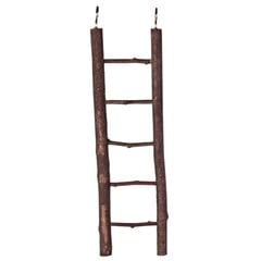 Koka trepes putniem : Trixie Wooden Ladder, (5 pakāpieni), 26 cm cena un informācija | Putnu būri un barotavas | 220.lv