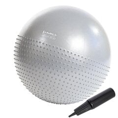 Гимнастический мяч HMS YB03N Gym Ball 65 см, светло-серый цена и информация | Гимнастические мячи | 220.lv