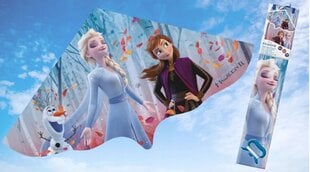 Frozen dizaina pūķis 115x63 cena un informācija | Gaisa pūķi | 220.lv