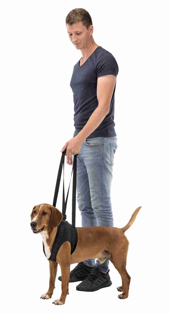 Suns pacelšanas josta : Trixie Walking aid, XL: 85–95 cm, black cena un informācija | Apkakles, siksnas suņiem | 220.lv