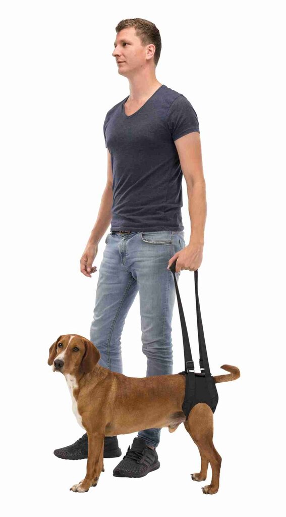 Suns pacelšanas josta : Trixie Walking aid, XL: 85–95 cm, black cena un informācija | Apkakles, siksnas suņiem | 220.lv