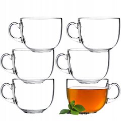 Glāzes sulai tējas dzērieniem Komplektā 6 gab, 450 ml cena un informācija | Glāzes, krūzes, karafes | 220.lv