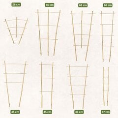 Bambusa kāpnes, trīskāršs augu atbalsts, 60 cm cena un informācija | Ziedu statīvi, puķu podu turētāji | 220.lv