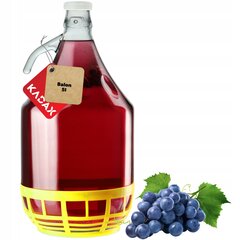 Wine Carboy 5L Lady balons grozā vīna pudelē + aizvēršana cena un informācija | Glāzes, krūzes, karafes | 220.lv