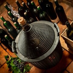 Wine Carboy 10 litri vīna balona caurules korķis grozā cena un informācija | Glāzes, krūzes, karafes | 220.lv