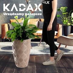 Garden Flower Pot, Высокий цветочный горшок со вставкой, 58,5 см цена и информация | Ящики для балкона | 220.lv