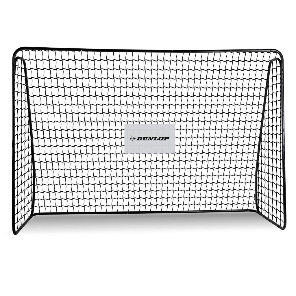 futbola vārti ar tīklu, 300x205x120cm цена и информация | Futbola vārti un tīkls | 220.lv