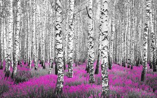 Fototapetes (pusmatētas) - Abstrakta meža ainava ar bērziem (rozā akcents), 400x250 cena un informācija | Fototapetes | 220.lv
