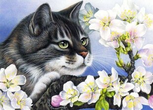 Glezna pēc numuriem "A cat in an apple tree in bloom" 30x40 cena un informācija | Gleznas pēc numuriem | 220.lv