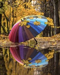 Glezna pēc numuriem "Rainbow umbrella" 40x50 cena un informācija | Gleznas pēc numuriem | 220.lv