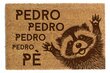 IĆ kājslauķis Pedro Pe Raccoon Coconut Brown 40x60cm cena un informācija | Kājslauķi | 220.lv