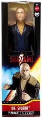 Figūras Shazam Dr. Sivana DC, GCW31, 30 cm cena un informācija | Rotaļlietas zēniem | 220.lv