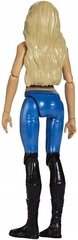 MATTEL WWE Superstars Charlotte Flair FGY28 цена и информация | Игрушки для девочек | 220.lv