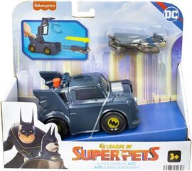 Fisher Price super suns ar Batmobil HGL19 cena un informācija | Rotaļlietas zēniem | 220.lv