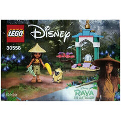 30558 LEGO® Disney princese Reja un pēdējais pūķis cena un informācija | Konstruktori | 220.lv