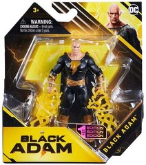 Фигурка Spin Master DC Black Adam Hawkman 10 см цена и информация | Игрушки для мальчиков | 220.lv