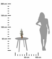 Ziemassvētku dekors, 45 cm cena un informācija | Ziemassvētku dekorācijas | 220.lv