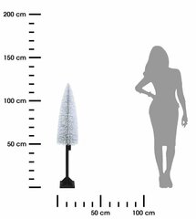 Ziemassvētku eglīte, 25 LED lampiņas, 120 cm cena un informācija | Ziemassvētku dekorācijas | 220.lv