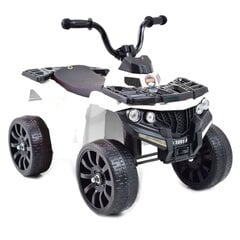 Одноместный детский электрический квадроцикл Quad Sport, белый цена и информация | Электромобили для детей | 220.lv