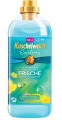 Мягкий кондиционер Kuschelweich Emotions для белья в аромате Frische, 1 л цена и информация | Средства для стирки | 220.lv