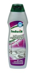 Ludwik universāls tīrīšanas līdzeklis, 300g cena un informācija | Tīrīšanas līdzekļi | 220.lv