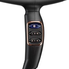 BaByliss Salon цена и информация | Фены | 220.lv