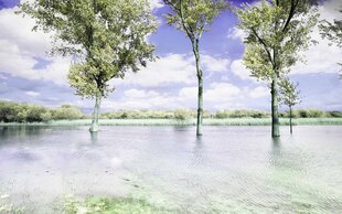 Fototapetes (pusmatētas) - Pavasara ainava - ainava ar kokiem pie ezera un zilām debesīm , 450x280 cena un informācija | Fototapetes | 220.lv