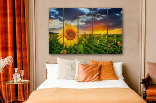 Stikla Bilde pļavas lauka saulespuķes saulespuķe 130x83 cm cena un informācija | Interjera priekšmeti | 220.lv