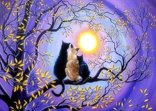 Glezna pēc numuriem "Three cats by moonlight" 30x40 cena un informācija | Gleznas pēc numuriem | 220.lv