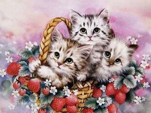 Dimanta mozaīka "Kittens in a strawberry basket" 30x40cm cena un informācija | Dimantu mozaīkas | 220.lv