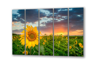 Stikla Bilde pļavas lauks saulespuķes 200x110 cm cena un informācija | Interjera priekšmeti | 220.lv
