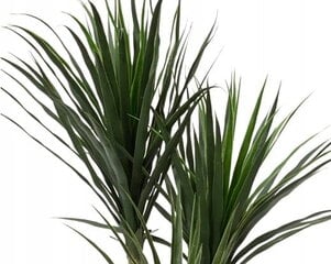 Dracaena mākslīgais dekoratīvais augs podā 120 cm цена и информация | Детали интерьера | 220.lv