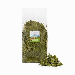 Gardums žurkām un trušiem Factoryherbs Dandelion leaf, 300 g cena un informācija | Barība grauzējiem | 220.lv