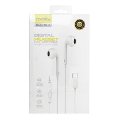 Paraveal austiņas ar mikrofonu, 1,2 m, USB-C savienotāju, baltas цена и информация | Наушники | 220.lv