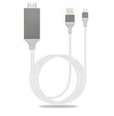 Zenwire цена и информация | Адаптеры и USB разветвители | 220.lv