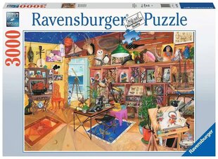 Puzle Interesanta kolekcija Ravensburger, 3000 g. cena un informācija | Puzles, 3D puzles | 220.lv